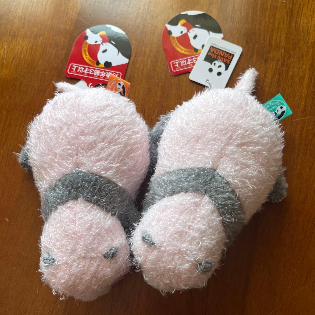 ほんとの大きさパンダの仔 暁暁(シャオシャオ) 蕾蕾（レイレイ