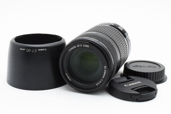 美品 Canon EF-S 55-250mm F4-5.6 IS AA3149 Canon EF-S 55-250mm f/4-5.6 IS Lens - Adorama