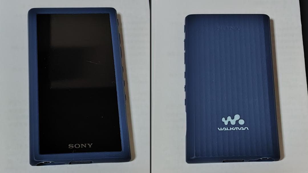 送料無料】ソニー ウォークマン 32GB A300シリーズ NW-A306LC