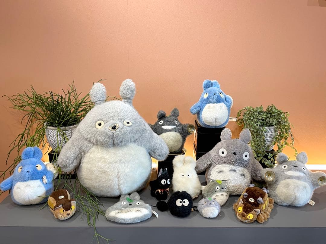 となりのトトロぬいぐるみ14点セット - メルカリ