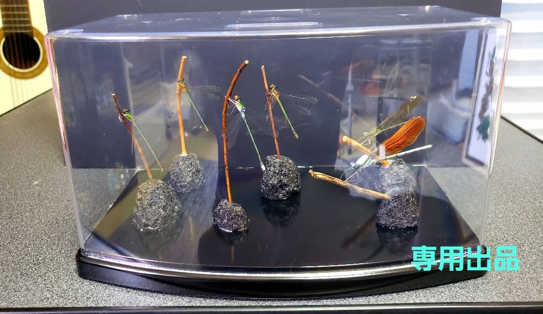 くなりみい出品 立体標本5点 Ichiban Kuji Hawks figure! #Hawks #MHA #FigureRepaint