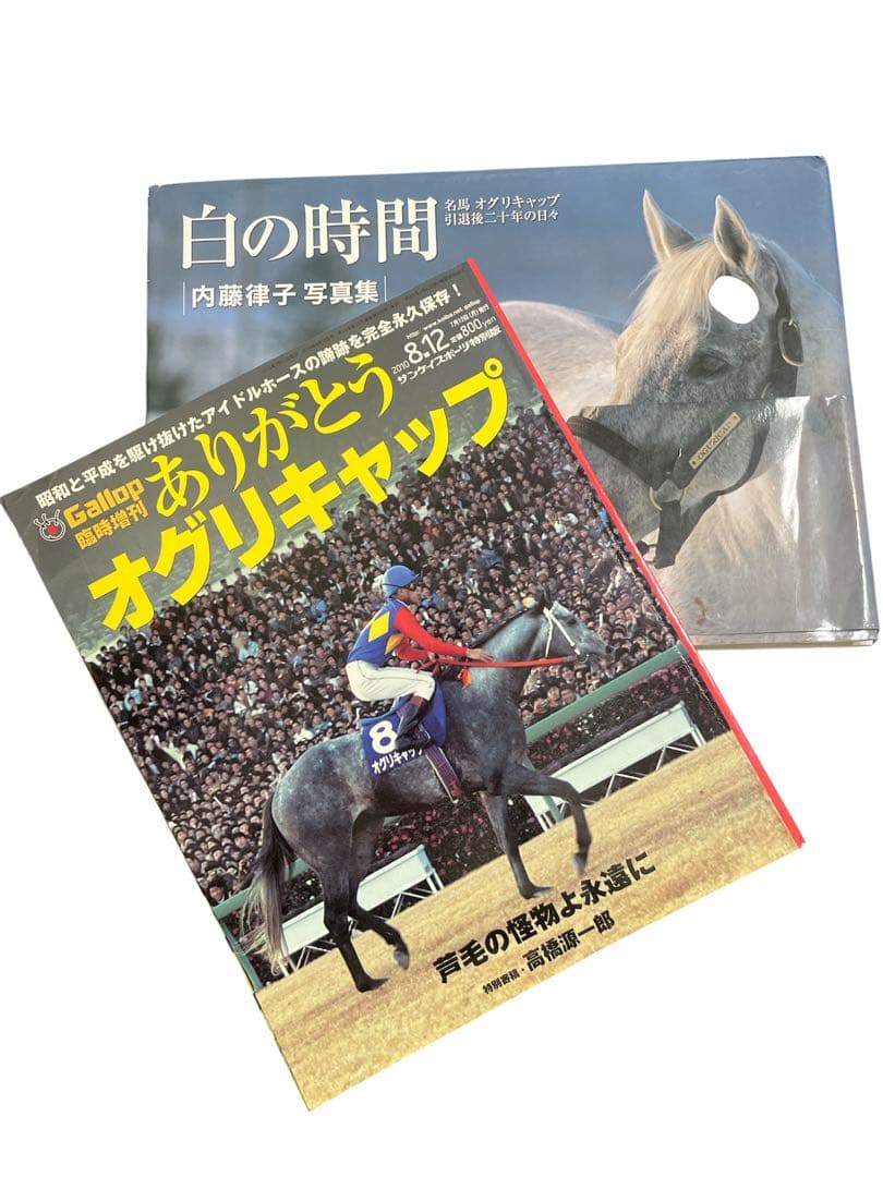 白の時間 内藤律子写真集 ありがとうオグリキャップ gallop 臨時増刊号
