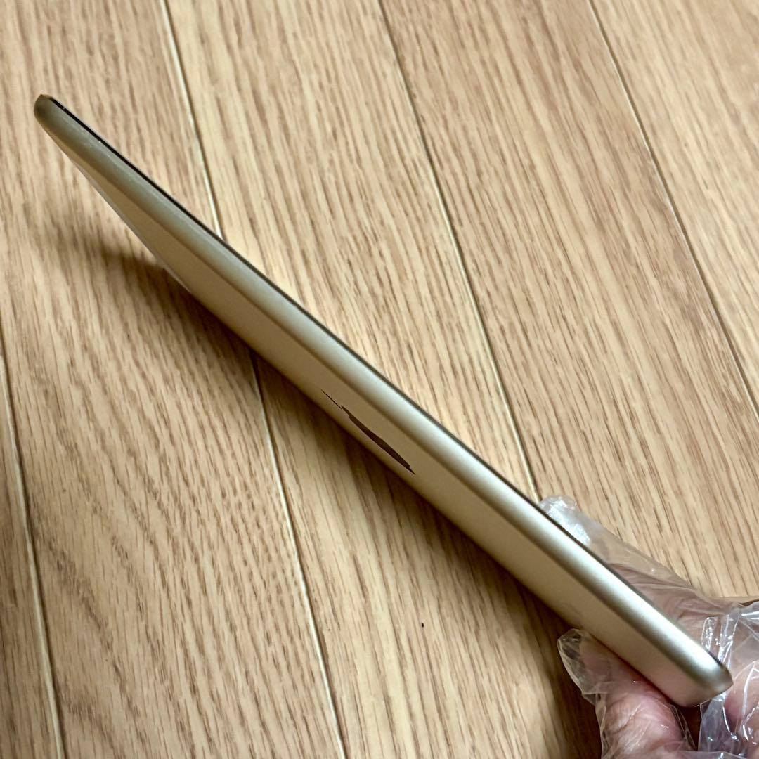 iPad mini 第4世代 バッテリー最大容量96% Cellular