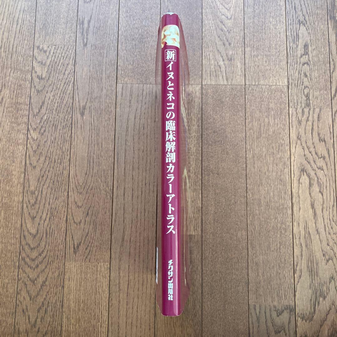 新イヌとネコの臨床解剖カラーアトラス チクサン出版社 DOG and CAT