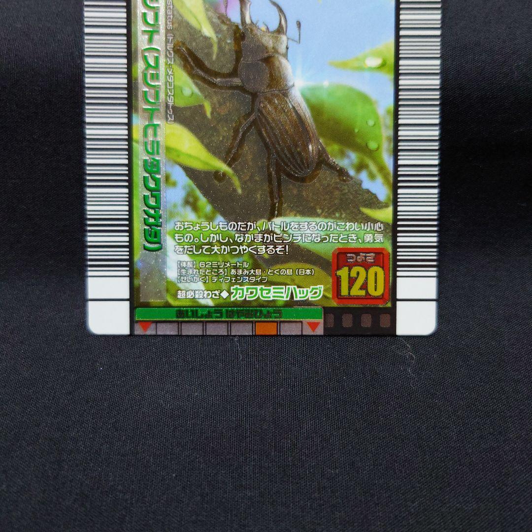 ☆【非売品】ムシキング スジブト（スジブトヒラタクワガタ） 3種3枚