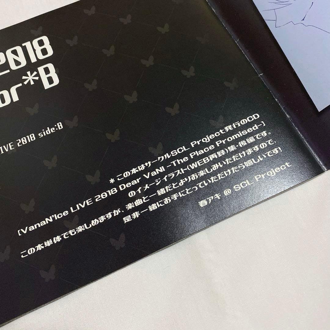 ボーカロイド VanaN'Ice バナナイス LiveB イラスト集 - メルカリ