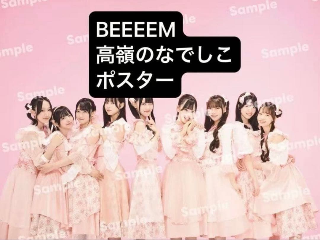 高嶺のなでしこ全員ポスター B2 - メルカリ