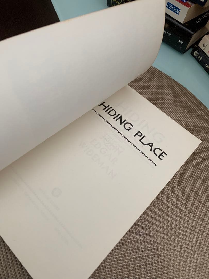希少 Hiding Place by John Edgar Wideman
