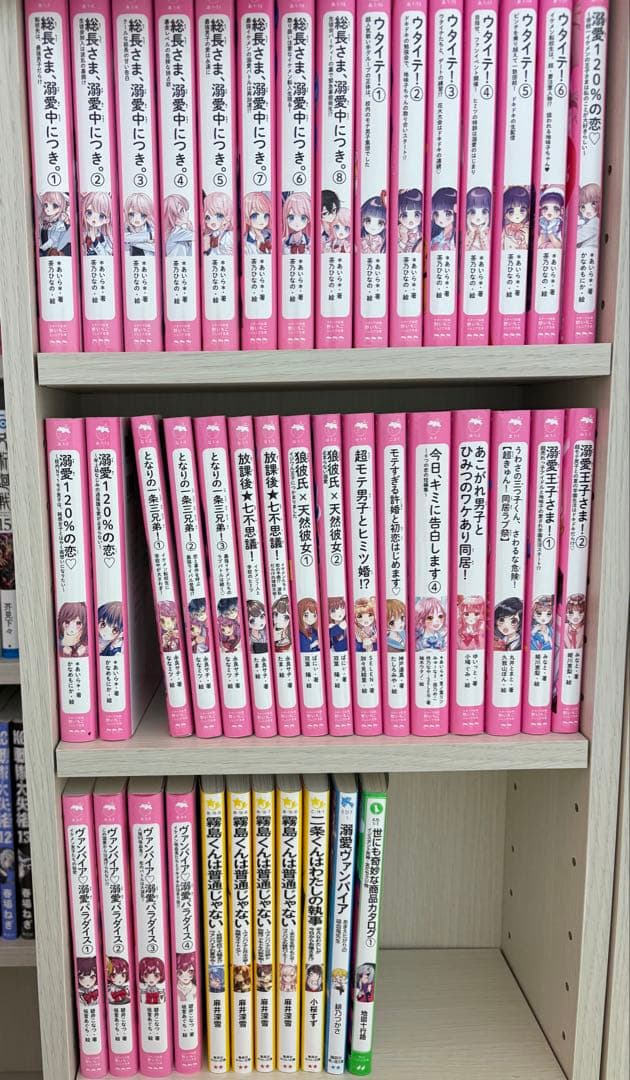 野いちごジュニア文庫などまとめ売り 野いちごジュニア文庫まとめ売り 【公式通販】