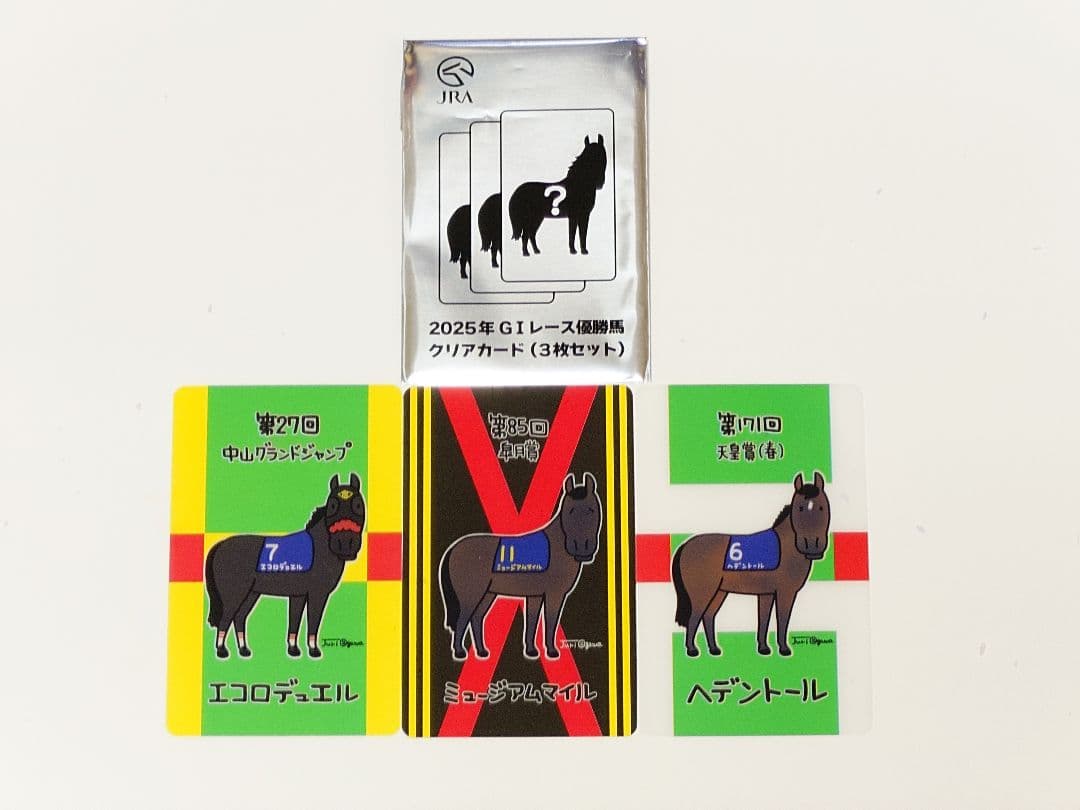JRA welcomeチャンス 2025年 GIレース優勝馬クリアカード3枚 - メルカリ