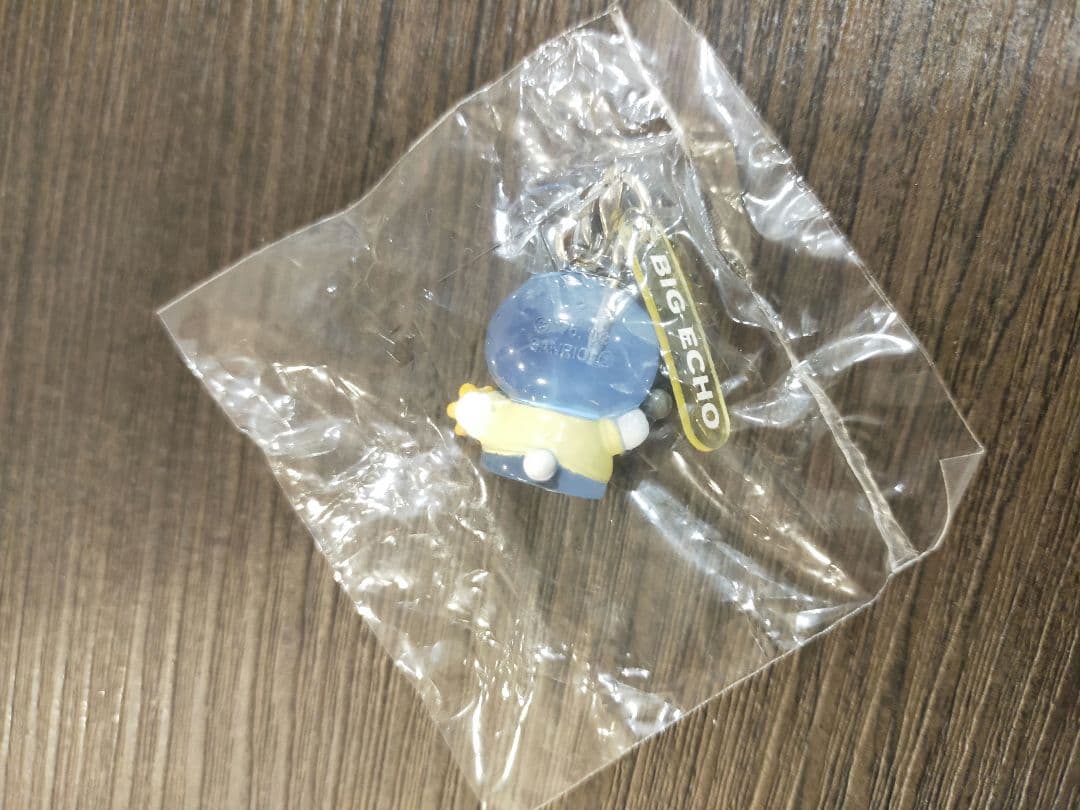 ⭐︎希少レア⭐︎ 希少 レア ビッグエコー BIGECHO キティ