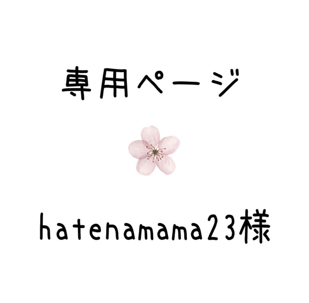 hatenamama23様 ~専用ページ~ 20点セット Today's momoko 2602 | PW-momoko | PetWORKs