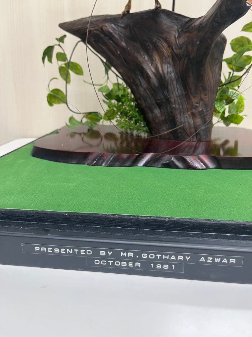 淡*雪様 鳥の標本 極楽鳥 インドネシア 剥製 - メルカリ