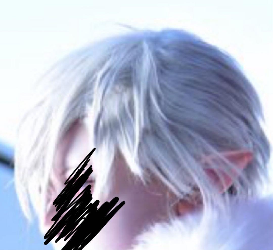 葛葉 サーシャ コスプレウィッグ にじさんじ - メルカリ