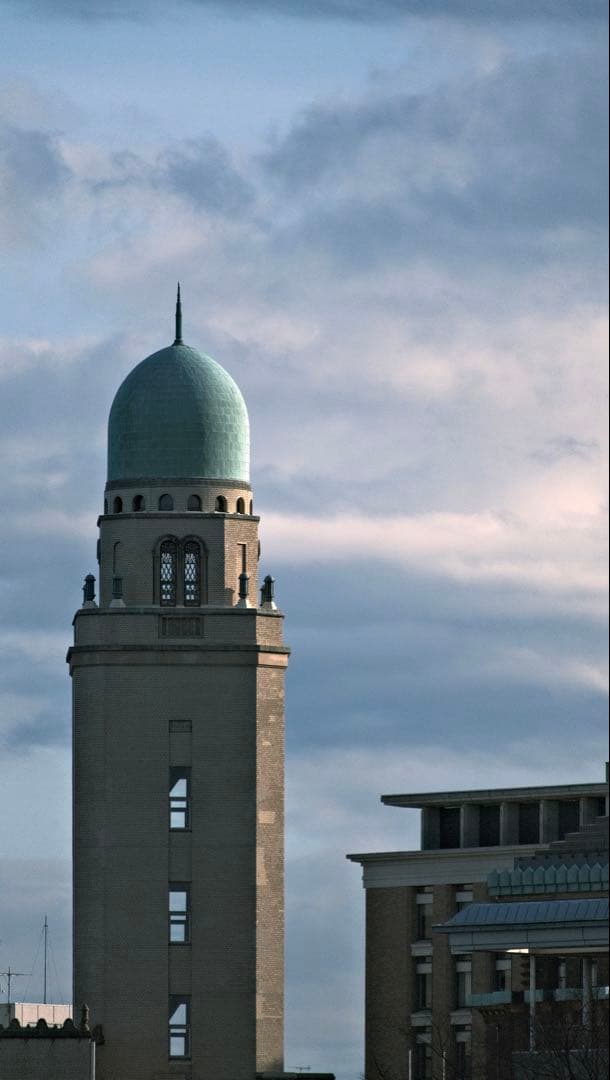 tamron 18-300 F/3.5-6.3 Di Ⅲ-A VC V XD