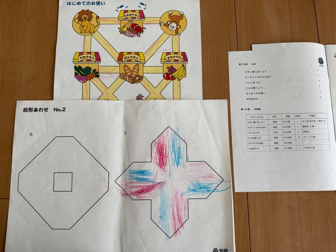 知研プログラム 第Tー5〜8期、Qー9期 - メルカリ