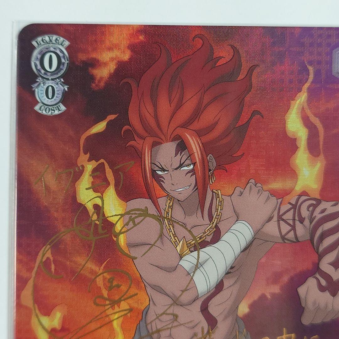 WS FAIRY TAIL SSP ルーシィ・SP グレイ・SP イグニアセット - メルカリ