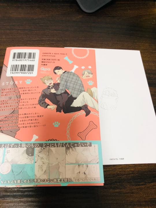 ☆限定版☆BLコミックスセット