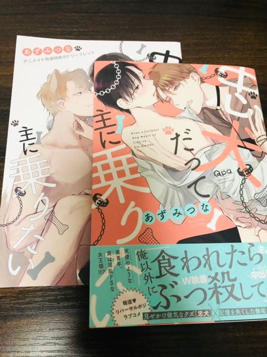 ☆限定版☆BLコミックスセット