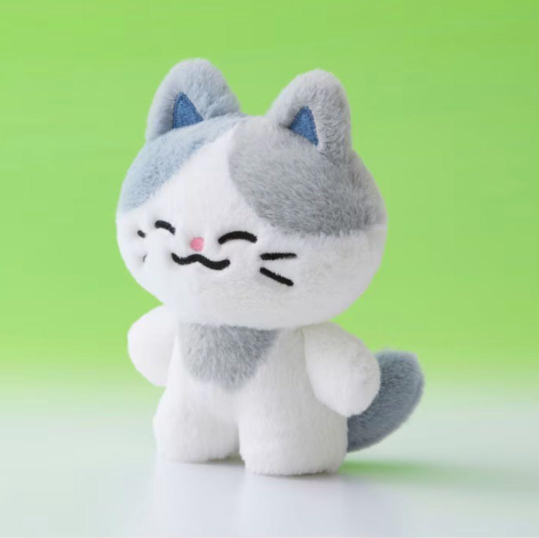 NCT DREAM チョンロ DREAMIEZ lemyo ぬいぐるみ トレカ - メルカリ