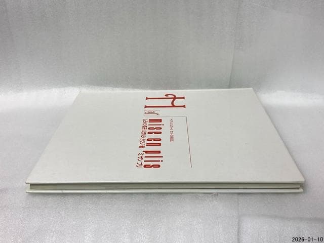 希少　ミザンプリ : H(アッシュ)カールセットの新技法 ムラハシ英子