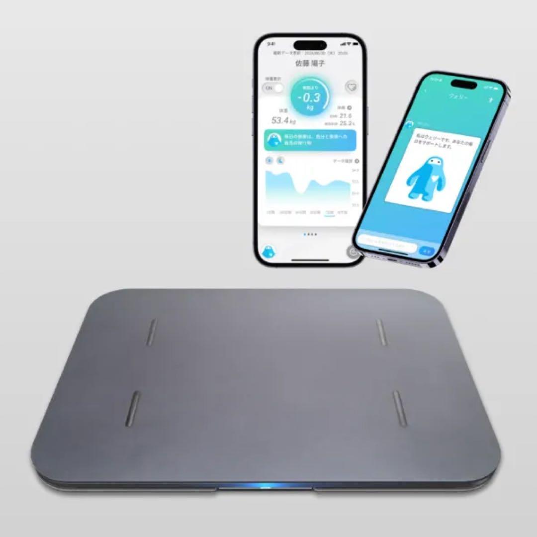 issin イッシン　スマートバスマット　体組成計モデル　2025年購入 30日間返品保証】スマートバスマット 体組成計モデル – issin公式