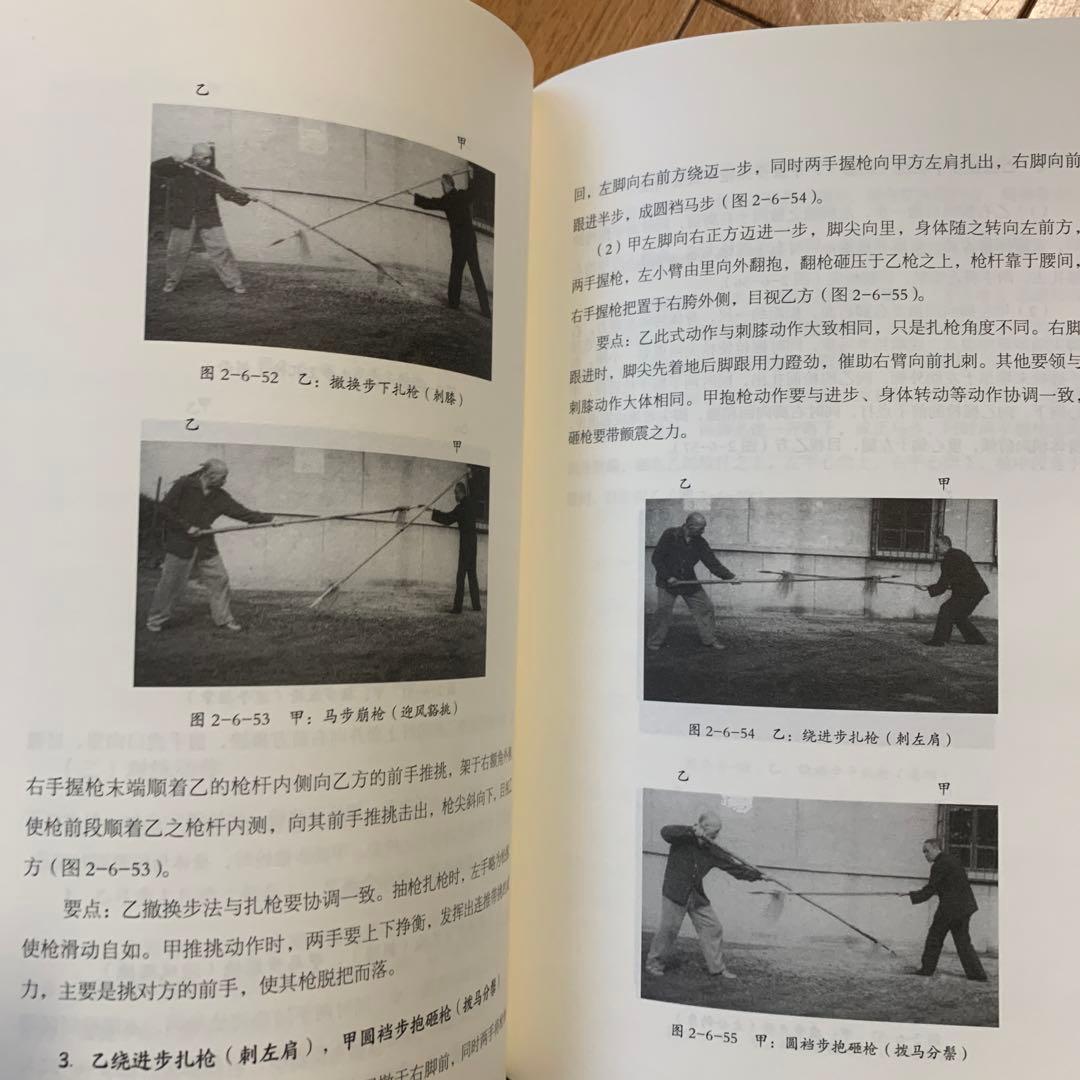 中国武術】宋氏形意拳及内功四経精解 形意拳弾性爆炸力実操練法 各練法