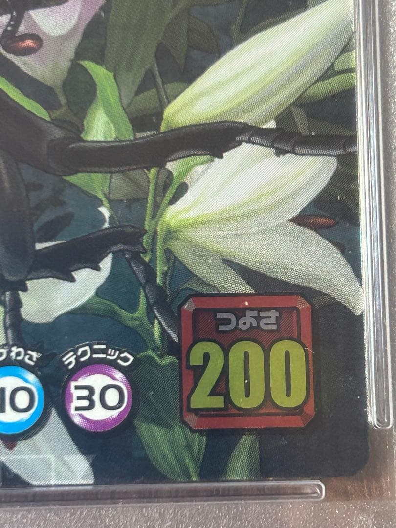 PSA8】 ヘラクレスリッキーブルー ムシキング 5周年 - メルカリ