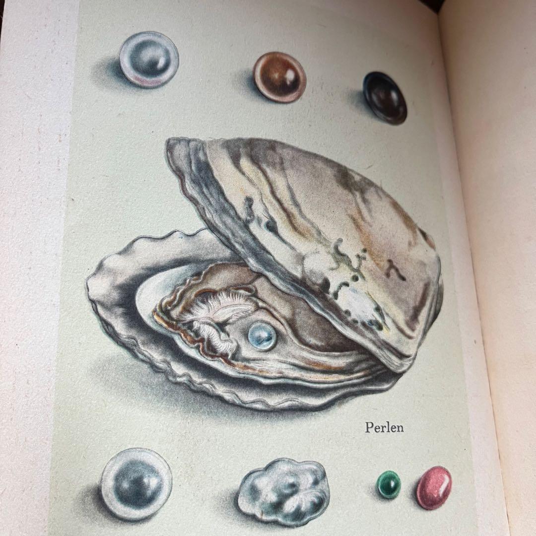 インゼル文庫 No.54 小さな鉱物の本 ヴィンテージ - メルカリ