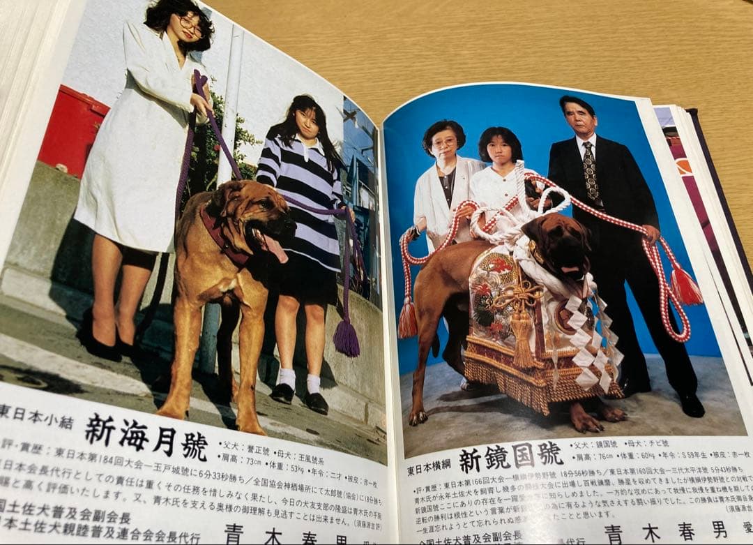 全日本土佐犬全集大鑑 第二編 ※ジャンク品※ - メルカリ