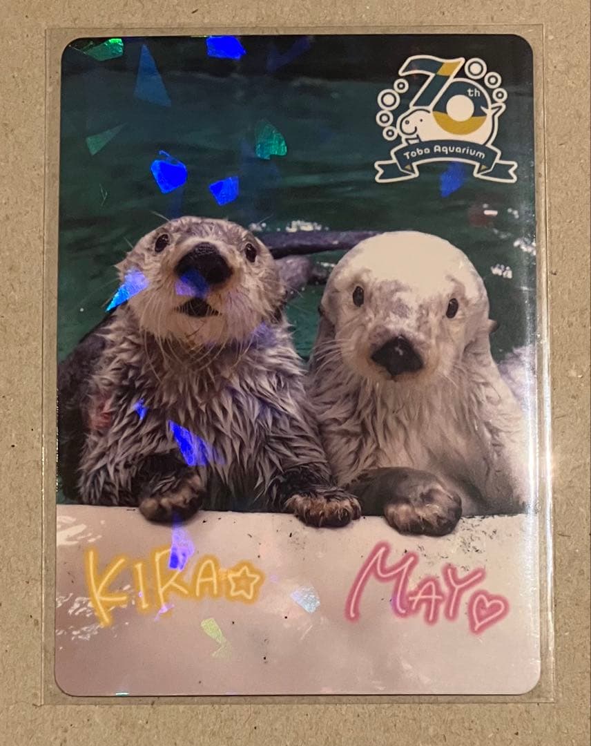 鳥羽水族館　コレクションカード　レア　キラ　メイ　ラッコ ラッコのメイとキラだけじゃない！ レア含め全81種、鳥羽水族館が