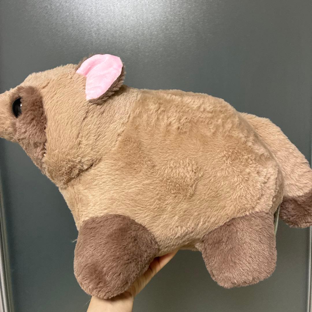 最終値下げ たぬきのぽんぽん BIGぬいぐるみ タヌキ 狸 - メルカリ