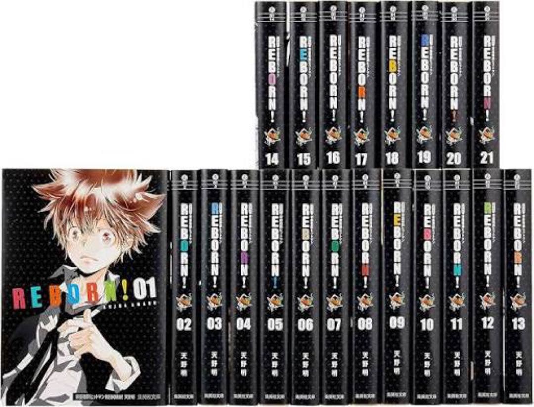 家庭教師ヒットマンREBORN! 文庫版 全21巻 完結セット 家庭教師ヒットマンREBORN! 文庫版 全21巻 完結セット／天野 明