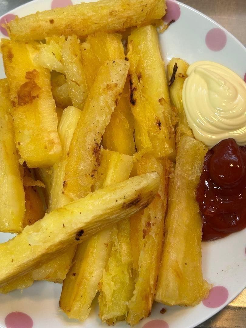 官能的な旨味と甘味。超高級☆キャッサバ・ゴールドSS☆挿し木枝。60