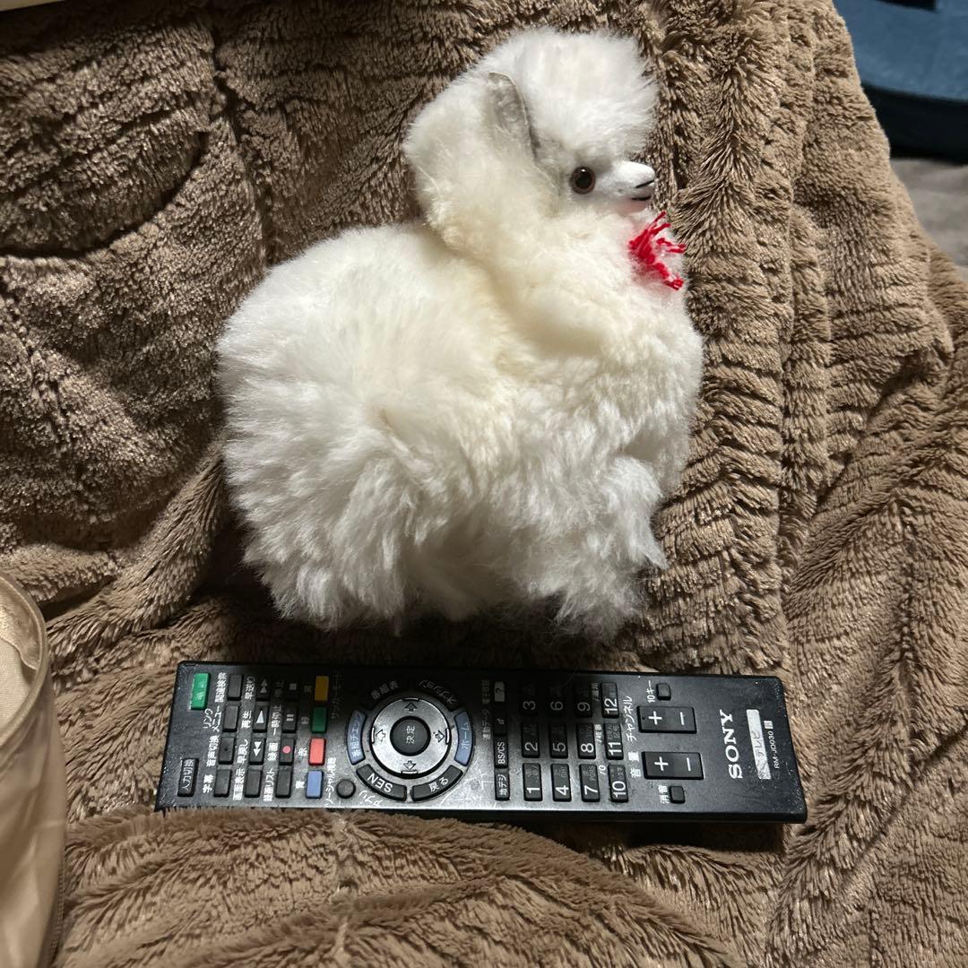 ペルー現地購入 アルパカぬいぐるみ5点セット