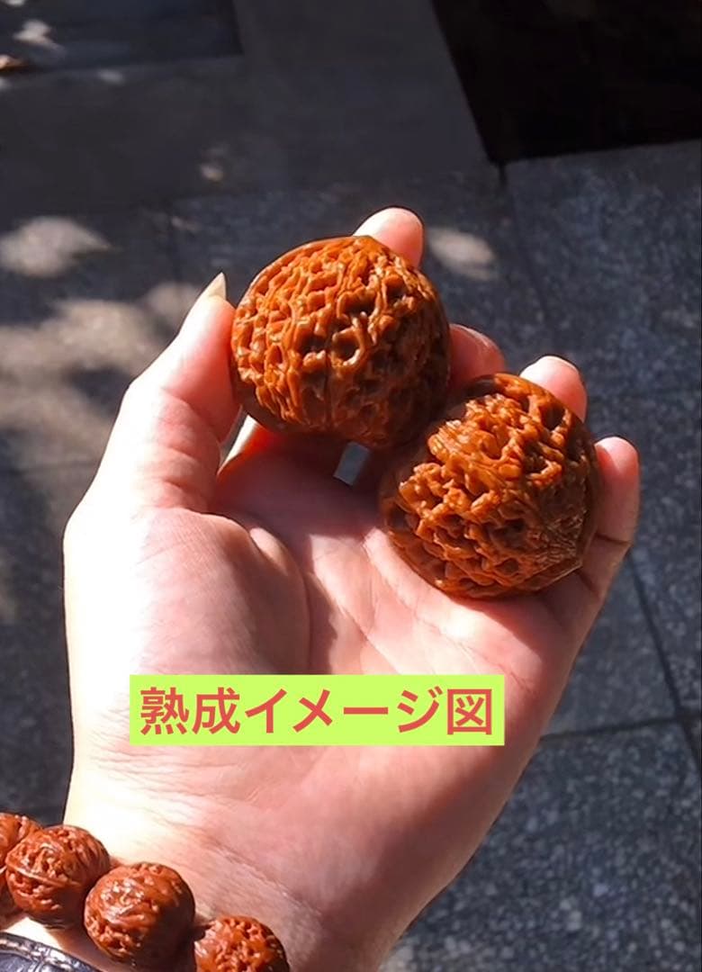 No.535 ❤️遊ぶクルミ 文玩核桃 精配球形水龙纹核桃 - メルカリ