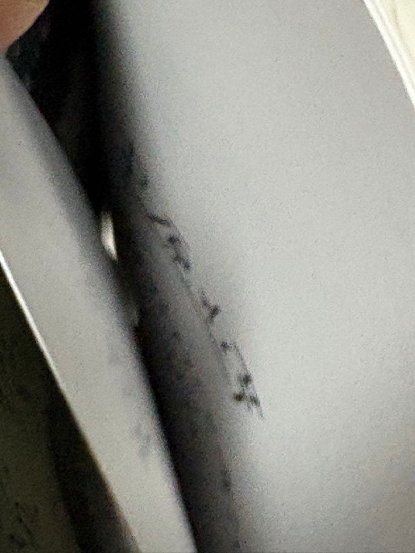 黒髪女子をとにかく愛でたい　サイン本