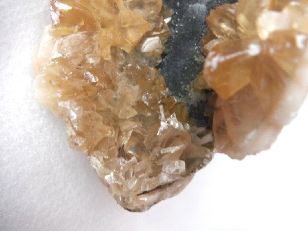 m盆・・・さま専用：方解石化した二枚貝の化石 カルサイト 鉱物標本