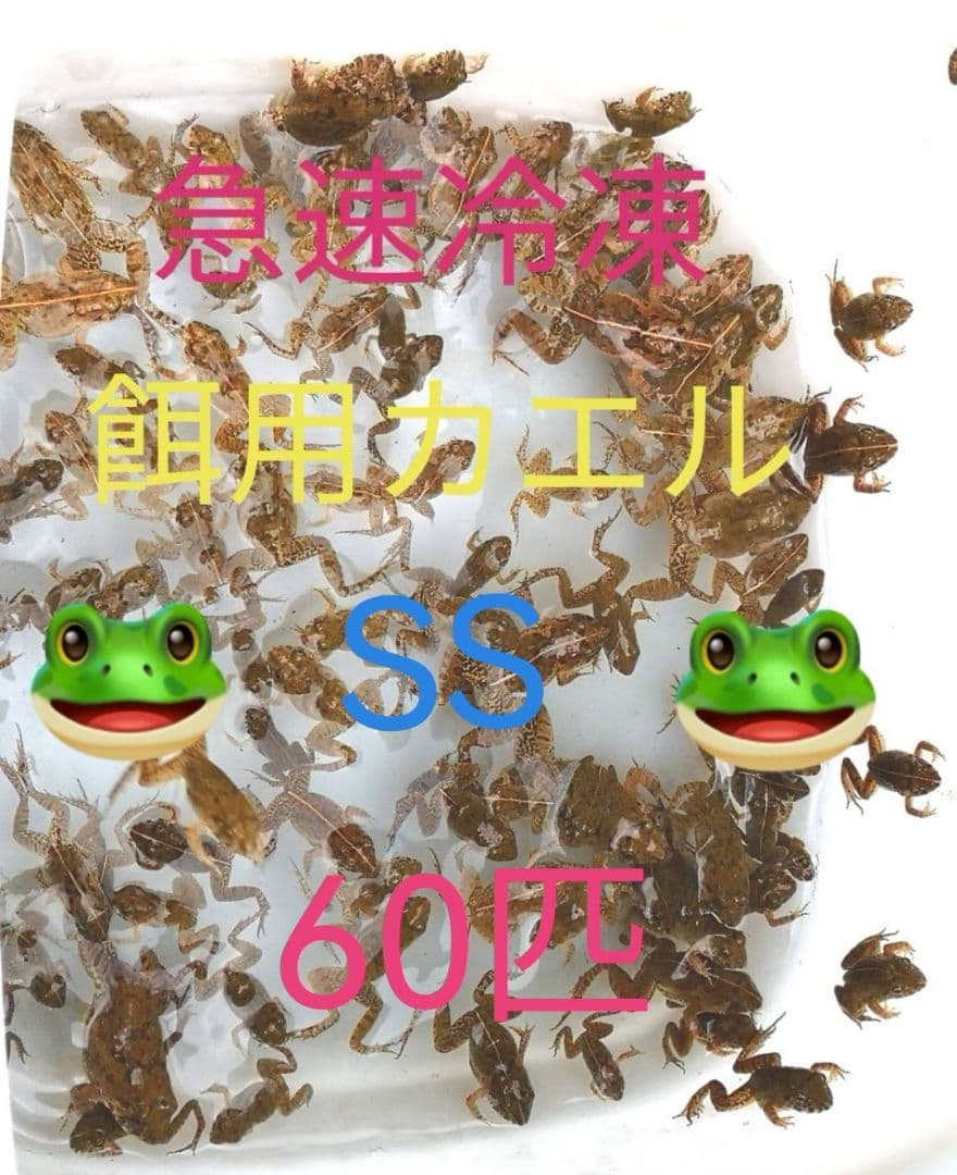 60匹【冷凍】SS 餌用カエル ヌマガエル エサ用 爬虫類 蛇の餌 ヘビ
