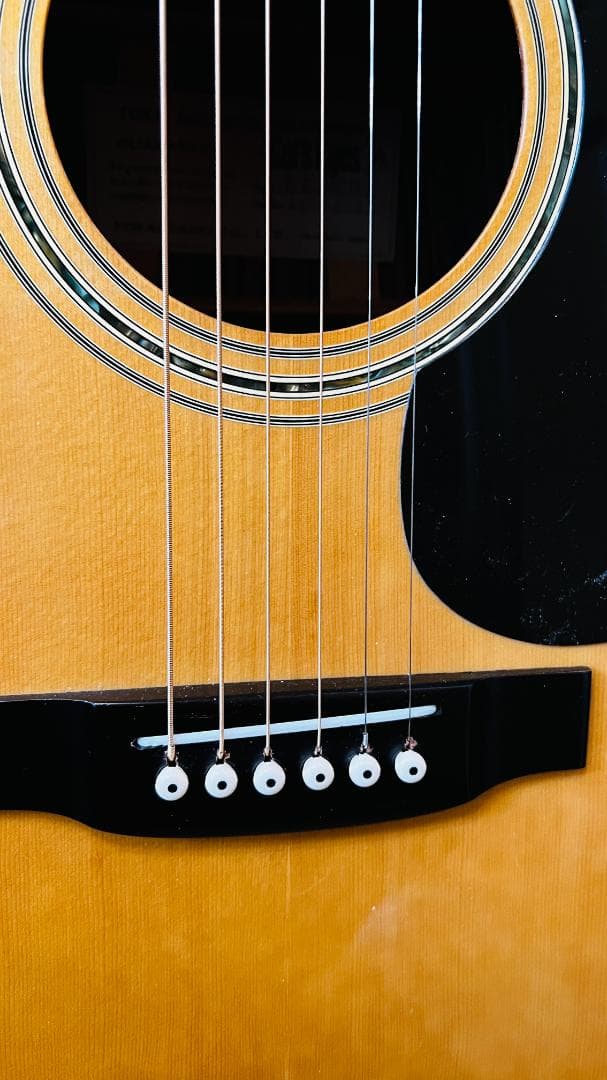 値下中】東海楽器 Cat's eyes CE-450E 状態良 - メルカリ