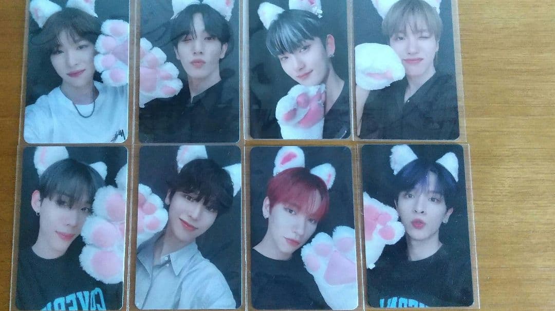 n.SSign デビューショーケース 猫トレカ 【ジュニョク】