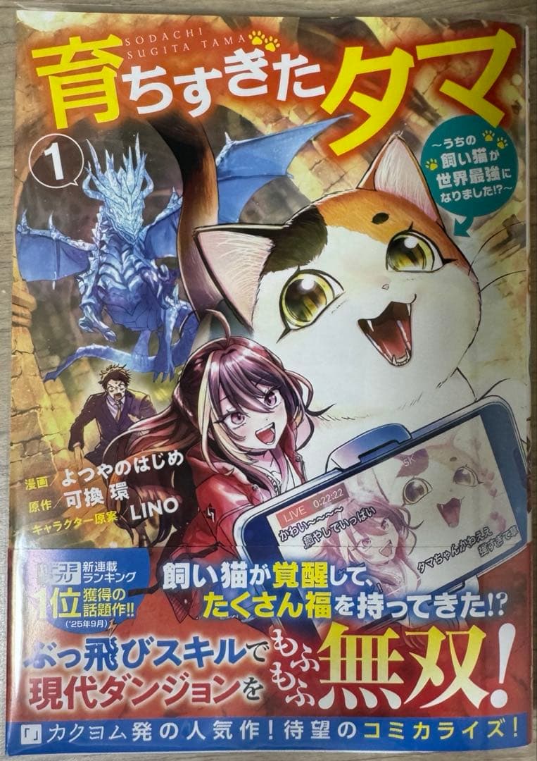 みぃー☆様専用 虐げられ王女に転生しましたが、竜神の加護を持つ最強