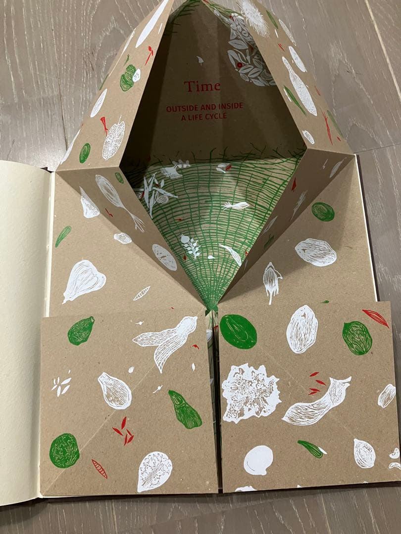 SEED 」Gita Wolf他著Tarabooks インド限定品 日本未販売 - メルカリ