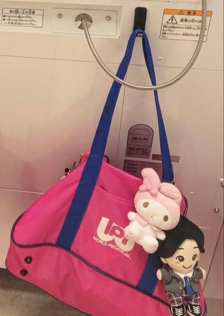 旧 ワッペ スクバ ワールドペガサス ピンク スクールバッグ - メルカリ