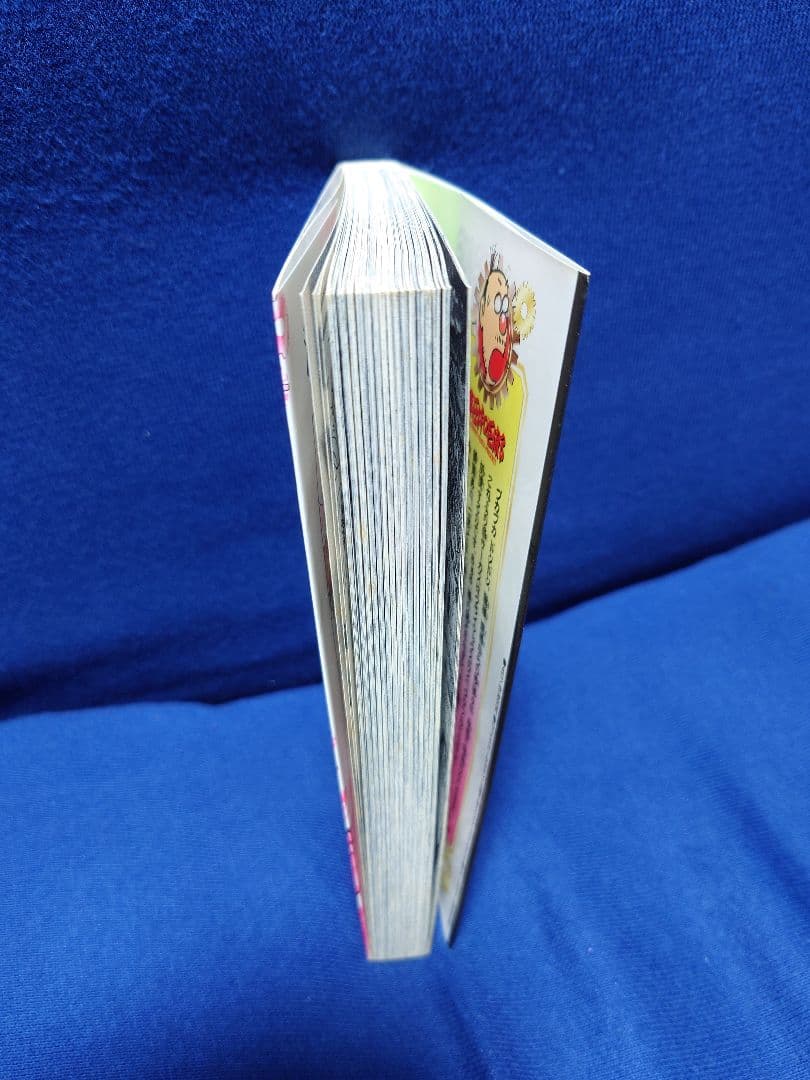 藤田和日郎【からくりサーカス34】直筆イラスト入りサイン本 - 少年