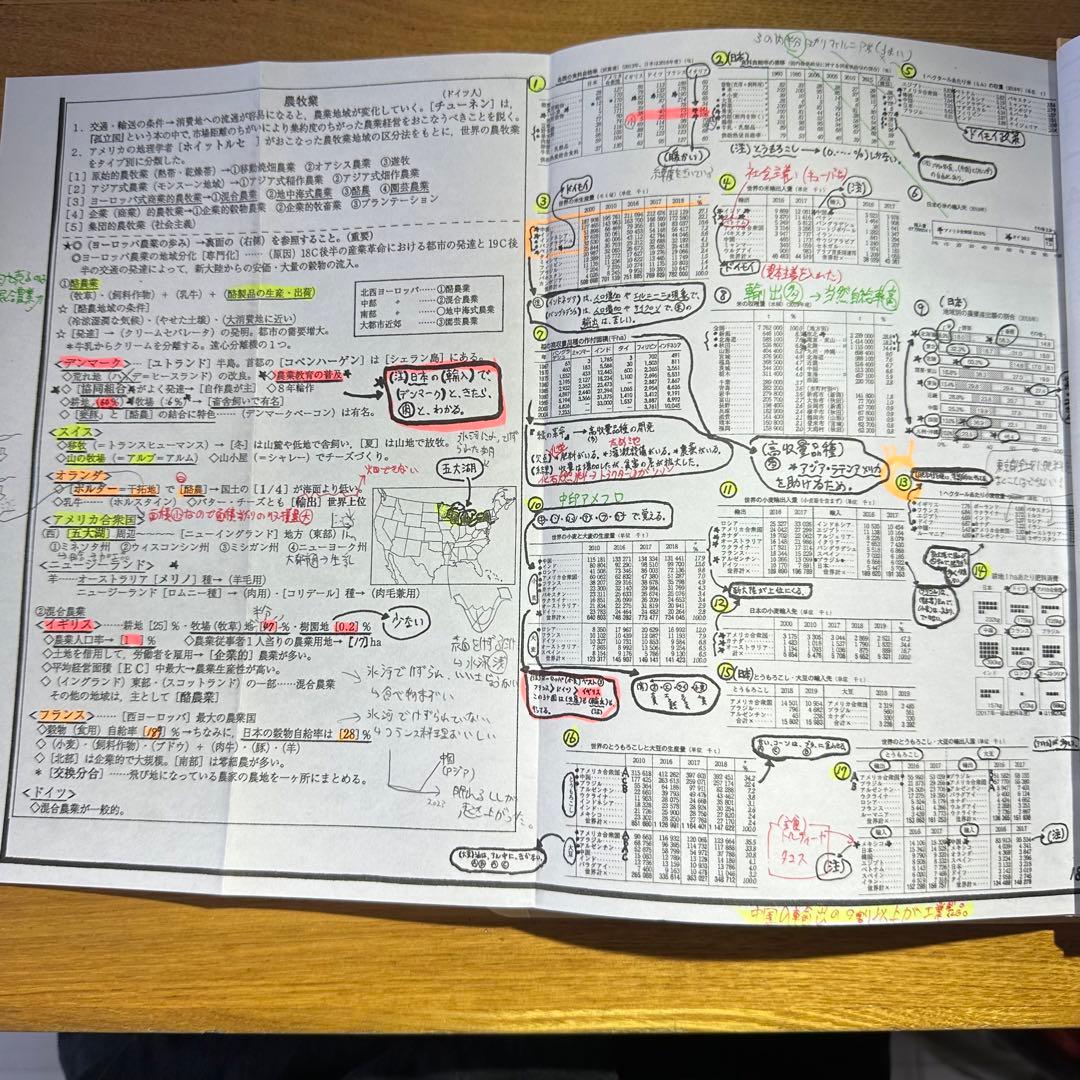 地理 駿台 岡田了一郎 授業プリント - メルカリ