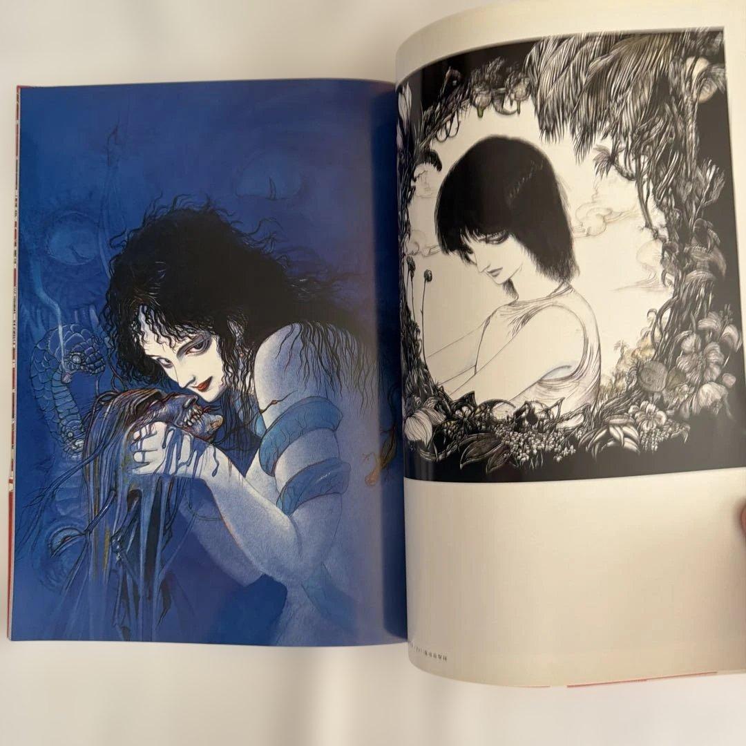 帯付・美品】[初版]天野喜孝画集 ファースト AMANO FIRST - メルカリ