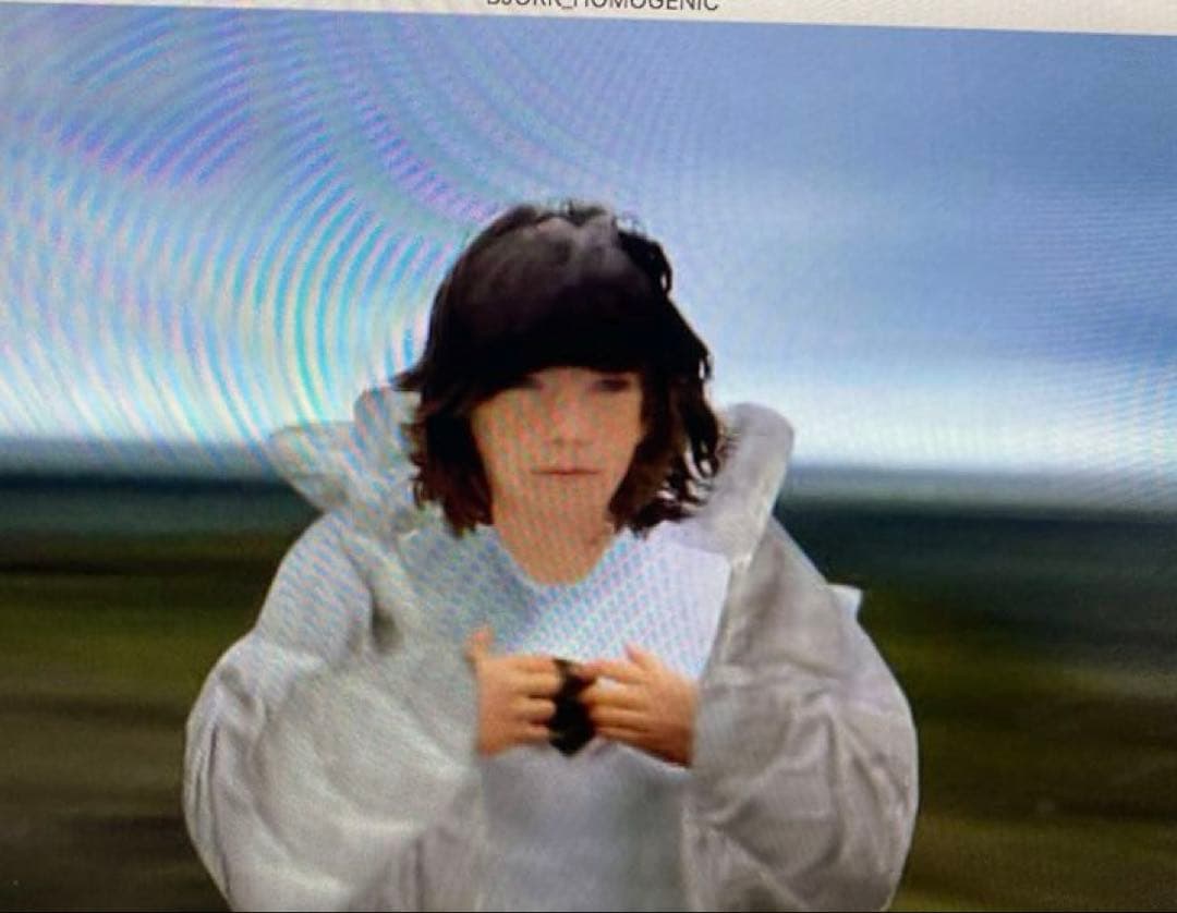 ビョーク / ホモジェニック デュアルディスク盤 CD DVD - メルカリ