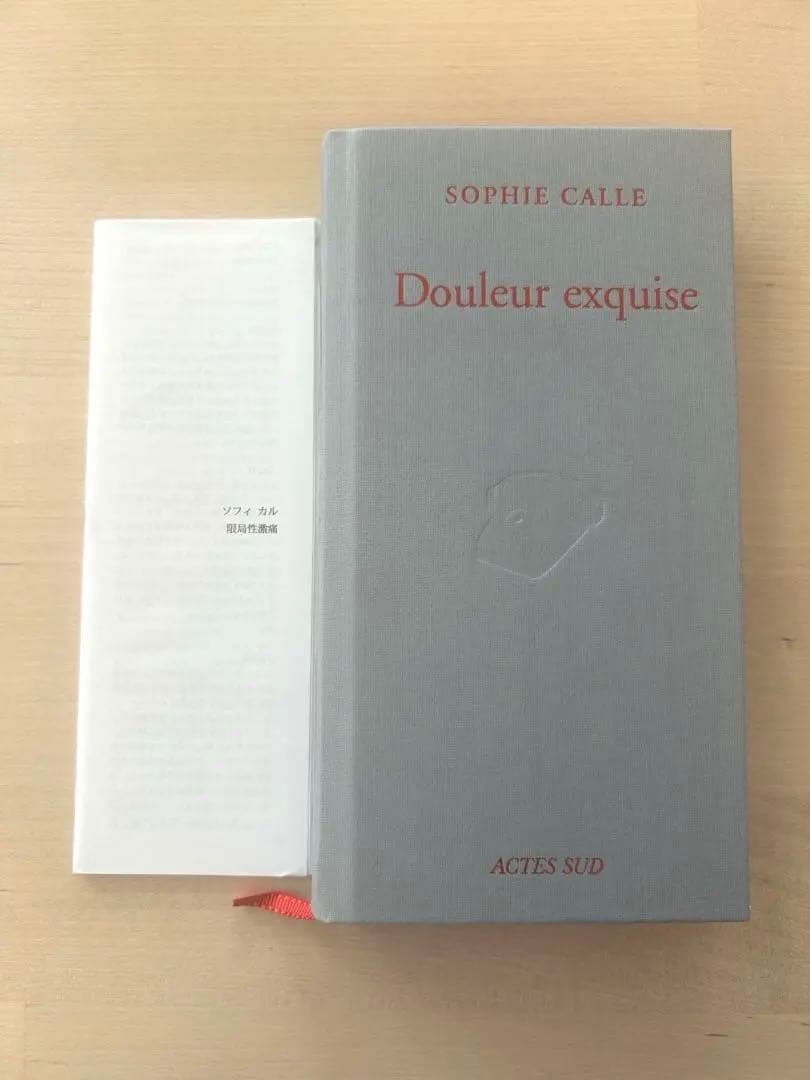 ソフィ・カル作品集 『限局性激痛』 原美術館制作による邦訳冊子付き fit=scale-down,w=1200