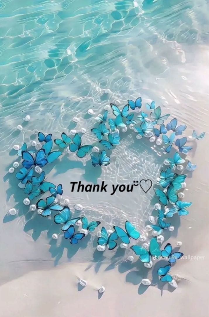 ❤️はりねずみ様❤️ hedehog #可愛い #はりねずみ好きと繋がりたい お疲れ様です